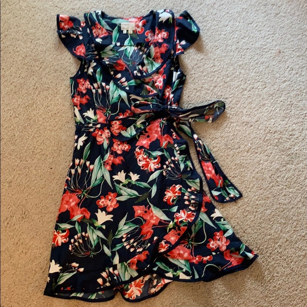 Anthropologie Wrap Dress